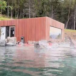 Video of forest lagoon