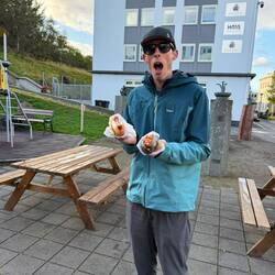 Icelandic street food!