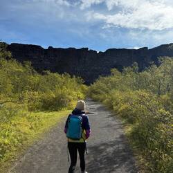 Hiking through Ásbyrgi canyon