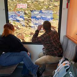 Looking out for the elusive (quick-moving) yellow-bellied marmots. Fat little buggers!