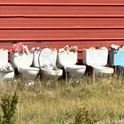 Loos with views... and built-in air freshener. Seen at Moffat.