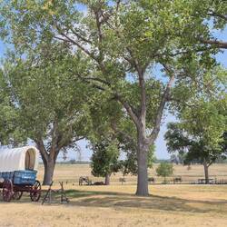 Blick in Richtung Schießplatz
