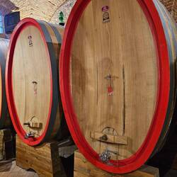 Fässer vom Olivenöl sind oval