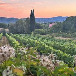 So schön, fast schon kitschig 🥰