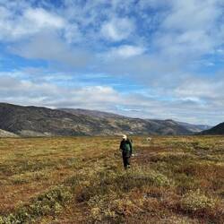 Auf der Suche nach der Brücke