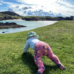 Am Clachtoll Beach ein bisschen das Gras erkunden