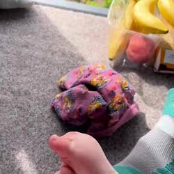 Und nochmal Schafe am Stoer Lighthouse beobachten