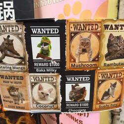 A sign outside a cat cafe.