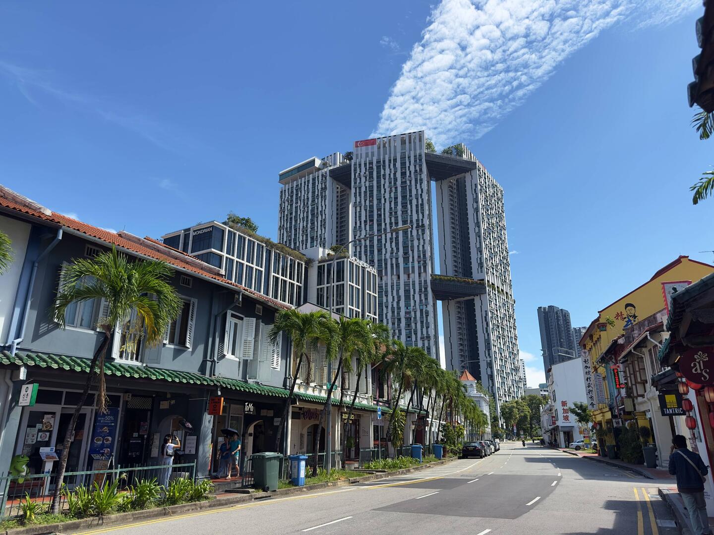 The Pinnacle dominated the landscape around Duxton Hill. Believe it or not, this is public housing.