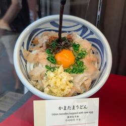 Meine Udonnudeln (Plastik}