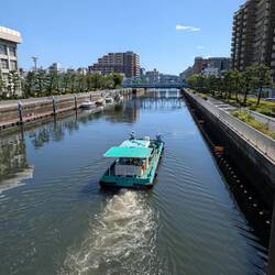 Die putzen das Wasser