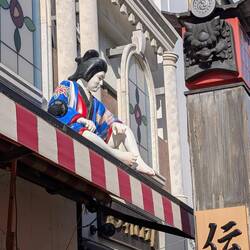 Samurai auf dem Dach