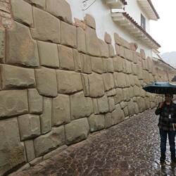 Unter dem Schirm der Führer