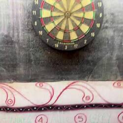 Kakerlake auf der Dartscheibe