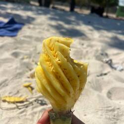 Pineapple on a stick