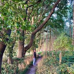 Unser Spaziergang zum Abendessen