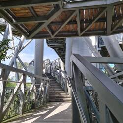 Beim Baumwipfelpfad ist der Weg das Ziel