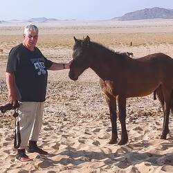 Dieser Hengst war anhänglich