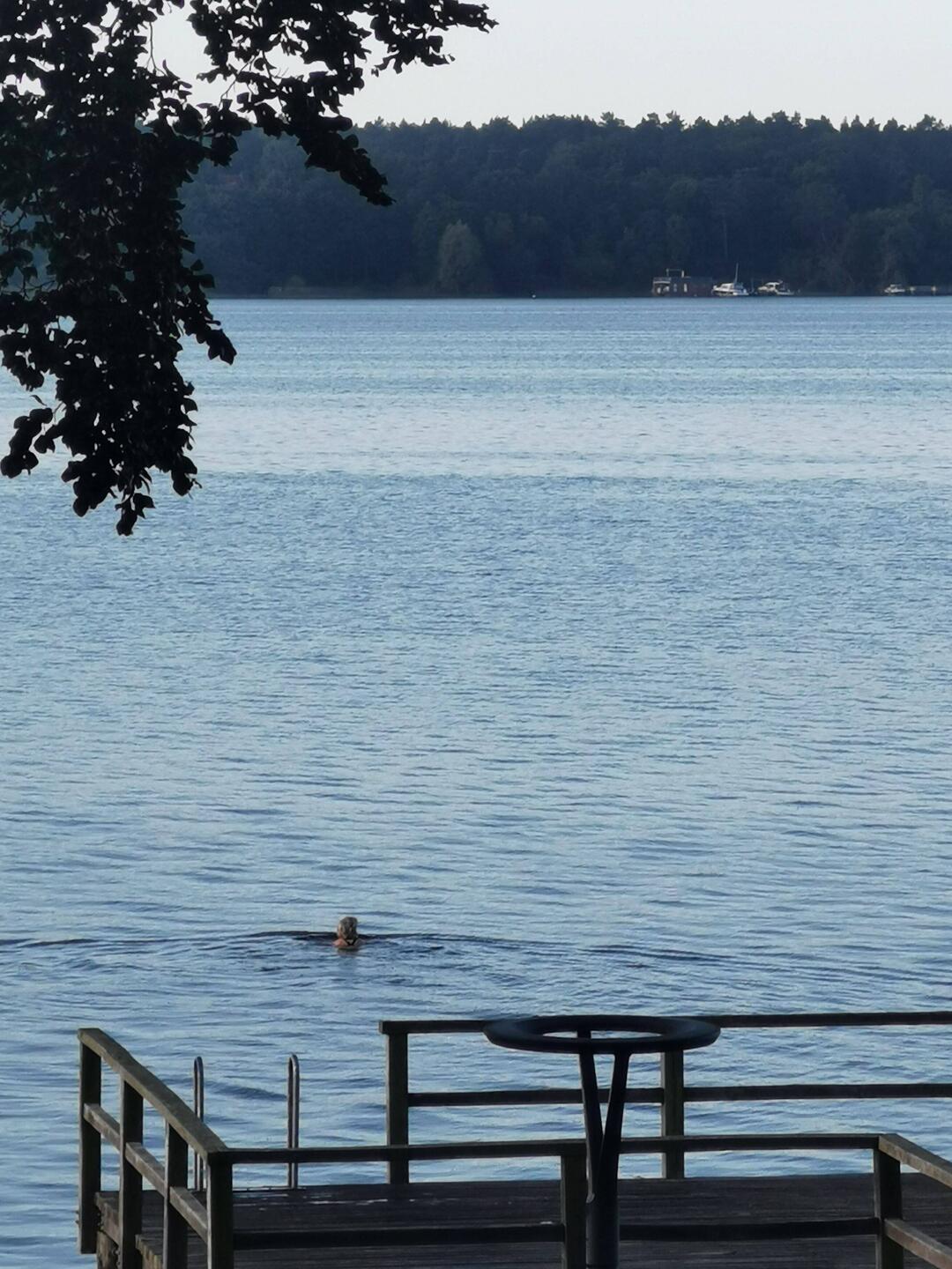 Schwimmen vor dem Frühstück, nur Elisabeth 😄