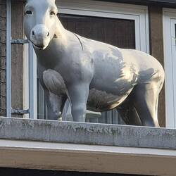 So lieb wie der schaut