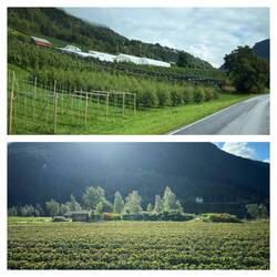 Valldal-Erdbeer-und Obsttal