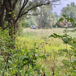 In einer Viertelstunde kommt man um den See herum.
