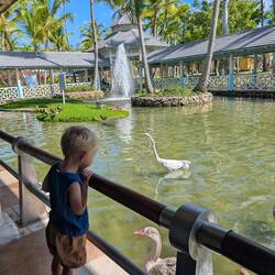 Rund um den Essbereich gab es einen Teich mit vielen Tieren