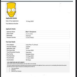 Visa Grant Notice erteilt 👍