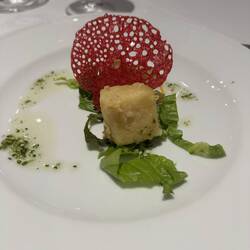 Linda had Cheese Saganaki (fried kefalotiri cheese, lemon and honey)