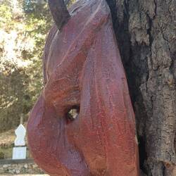 Direkt durch die Augen geschaut