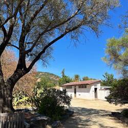 San Francisco Solano Missionary