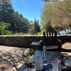 Gundlach Bundschu vineyards