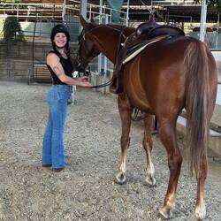 Horseback riding lessons