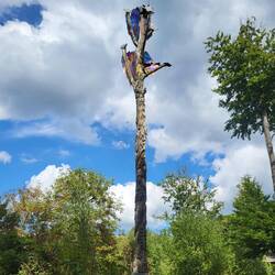 Die Triskele in voller Pracht.