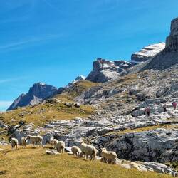 Zwei- und Vierbeiner geniessen das sonnige Wetter!