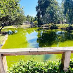 Alrededores del camping