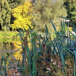 Und den Herbst aber auch schon riechen können