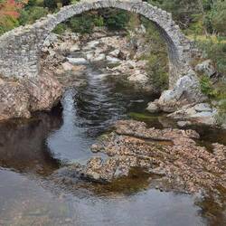 Carr - Bridge