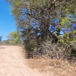 Hier war das Fahren noch herrlich