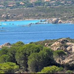 Der Oktopuskopf von gestern