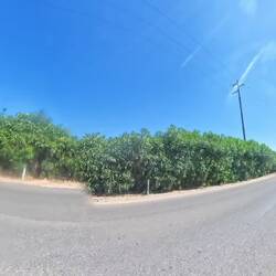 Der Damm rüber nach Caprera