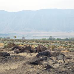 Columbia River edge