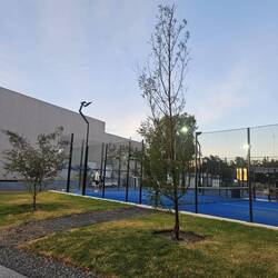 Tennis und paddle Plätz