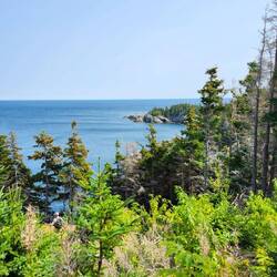 Middle Head trail