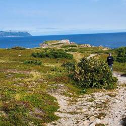 White Point trail