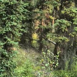 Hört mal hin. So war der ganze Trail.