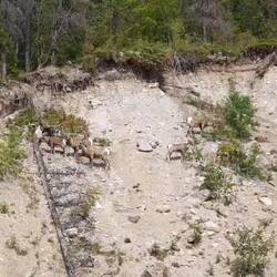 Wer sich zuerst bewegt hat verloren😂