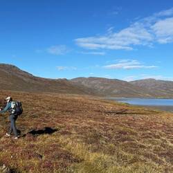 Sieht nicht so aus, aber vor uns liegt ein sehr feuchter, sumpfiger Abschnitt.