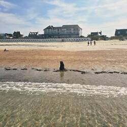 Der kleine Uhu bleibt lieber am Rand sitzen und will nicht ins Wasser. 😎