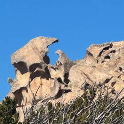 Ich sehe einen Tapir mit Kind